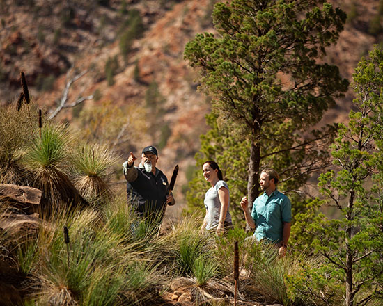 Flinders ranges indigenous tour